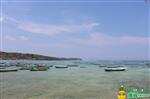 藍夢島1