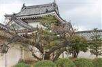 日本美圖欣賞-攝影康輝小蔡踩點之旅